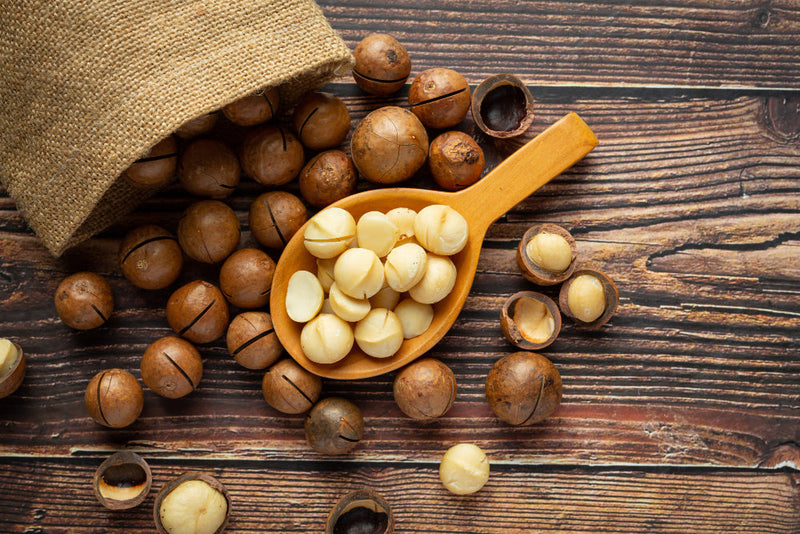 Macadamia Nuts