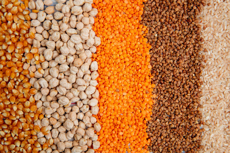 Seeds