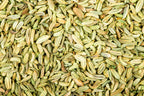 Fennel Seeds (Saunf)